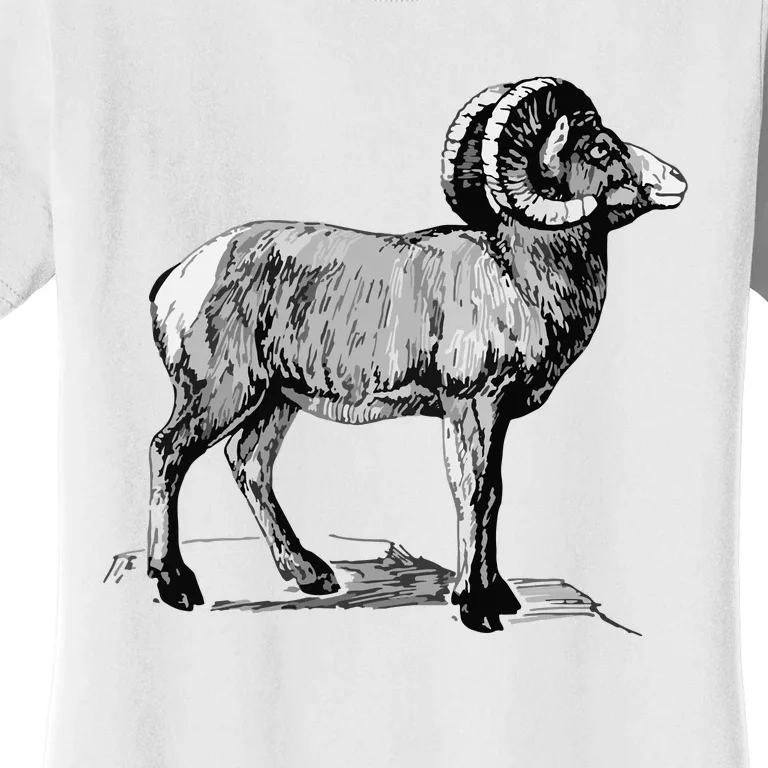 Mountain Goat Mountain Sheep Women's T-Shirt