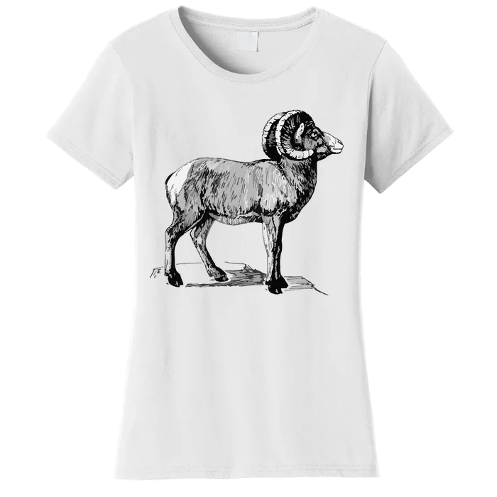 Mountain Goat Mountain Sheep Women's T-Shirt