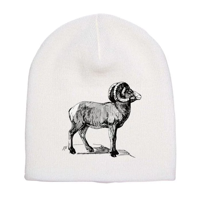 Mountain Goat Mountain Sheep Short Acrylic Beanie