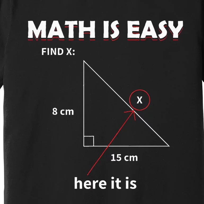 Math Geometry Mathematicians Premium T-Shirt