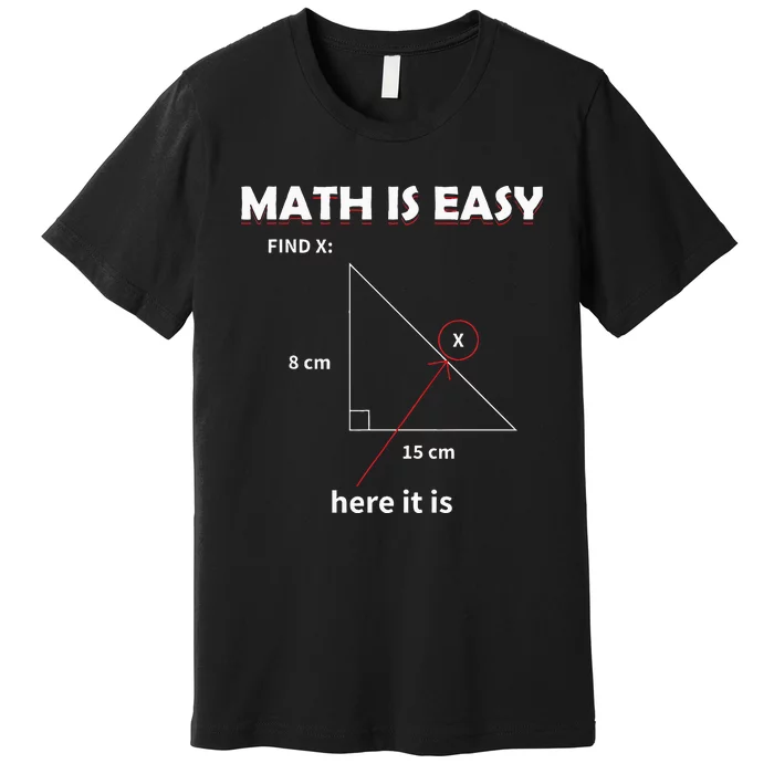 Math Geometry Mathematicians Premium T-Shirt