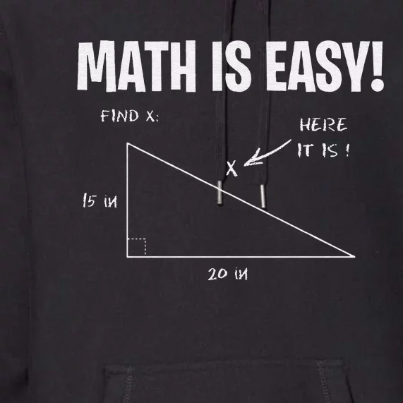 Math Geometry Mathematicians Premium Hoodie