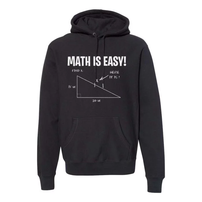 Math Geometry Mathematicians Premium Hoodie