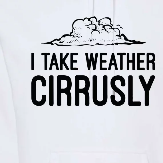 Meteorologist Gift Weather Meteorology Premium Hoodie