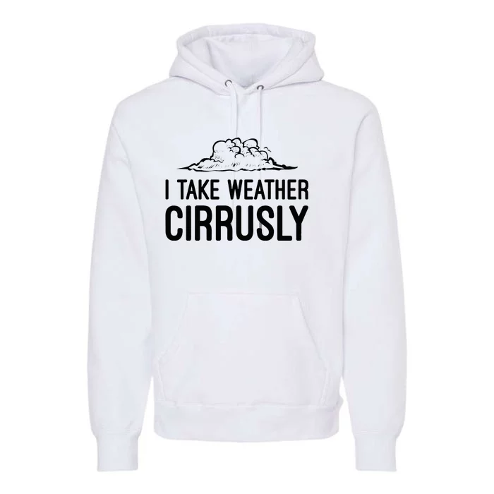 Meteorologist Gift Weather Meteorology Premium Hoodie