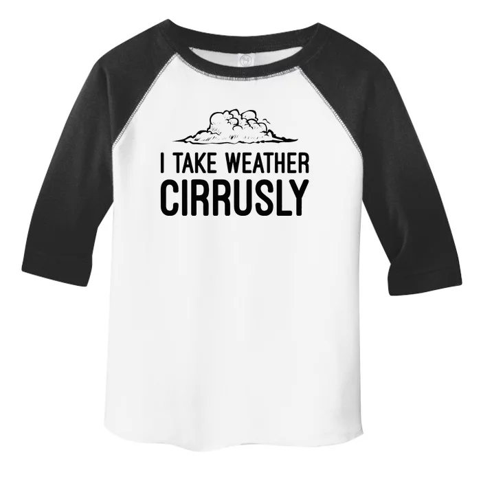 Meteorologist Gift Weather Meteorology Toddler Fine Jersey T-Shirt