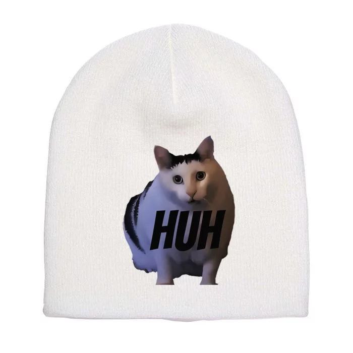 Meme Huh Cat Funny Short Acrylic Beanie