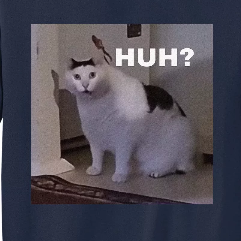 Meme Huh Cat Tall Sweatshirt