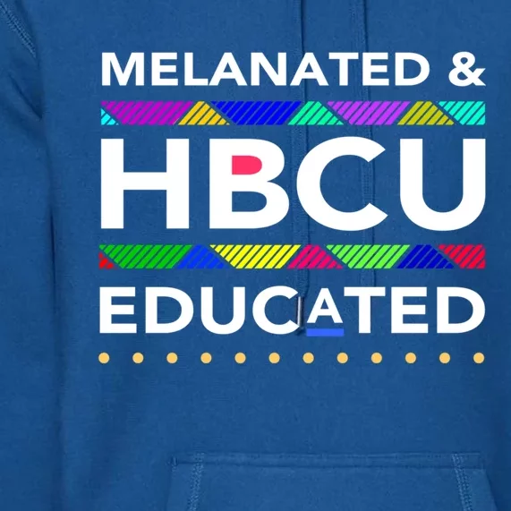 Melanated Hbcu Educated (Historically Black Colleges Unis) Gift Premium Hoodie