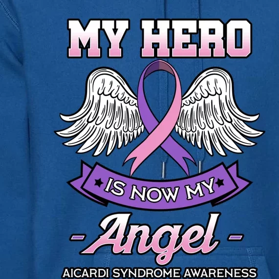 My Hero Is Now My Angel Aicardi Syndrome Genetic Disorder Meaningful Gift Premium Hoodie