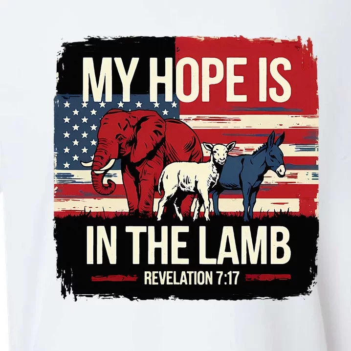 My Hope Is In The Lamb Jesus 2024 Election Sueded Cloud Jersey T-Shirt