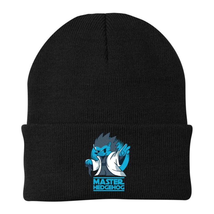 Master Hedgehog Knit Cap Winter Beanie