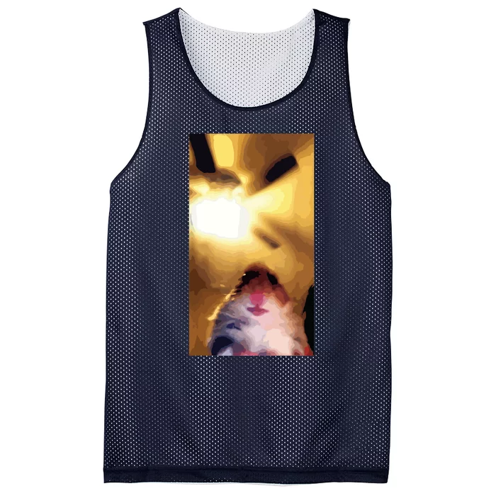 Meme Hamster Staring Front Camera Mesh Reversible Basketball Jersey Tank