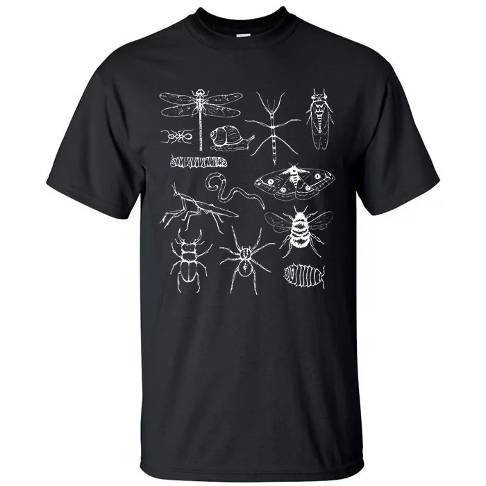 Minibeasts Insects And Invertebrates Drawings Tall T-Shirt