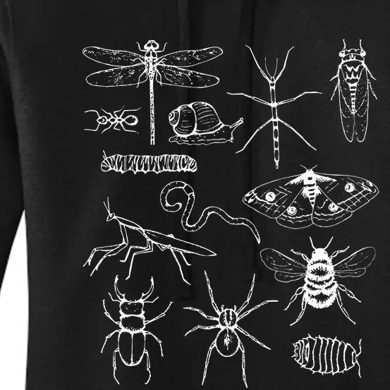 Minibeasts Insects And Invertebrates Drawings Women's Pullover Hoodie