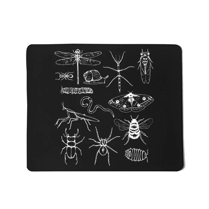 Minibeasts Insects And Invertebrates Drawings Mousepad