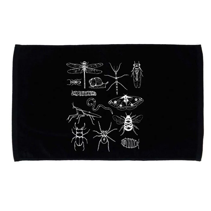 Minibeasts Insects And Invertebrates Drawings Microfiber Hand Towel