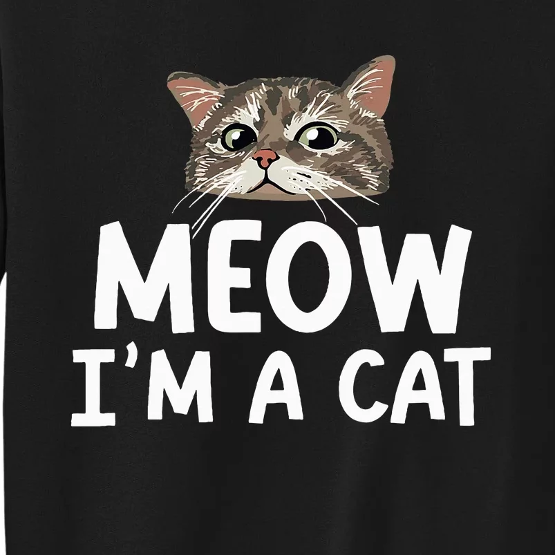 Meow I'm A Cat Funny Halloween Costume Spooky Pet Lover Tall Sweatshirt