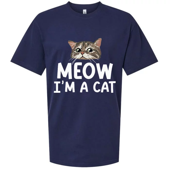 Meow I'm A Cat Funny Halloween Costume Spooky Pet Lover Sueded Cloud Jersey T-Shirt