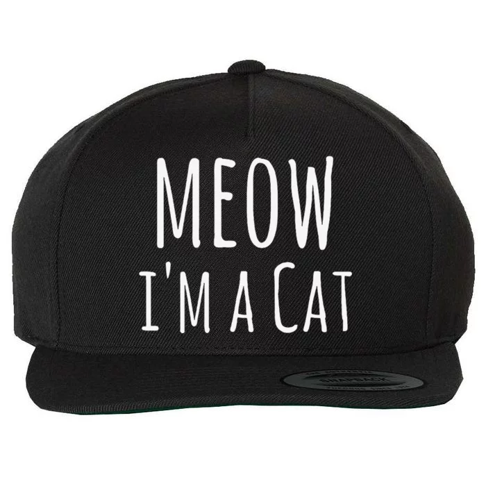 Meow Im A Cat Funny Cat Lover Lazy Halloween Costume Wool Snapback Cap