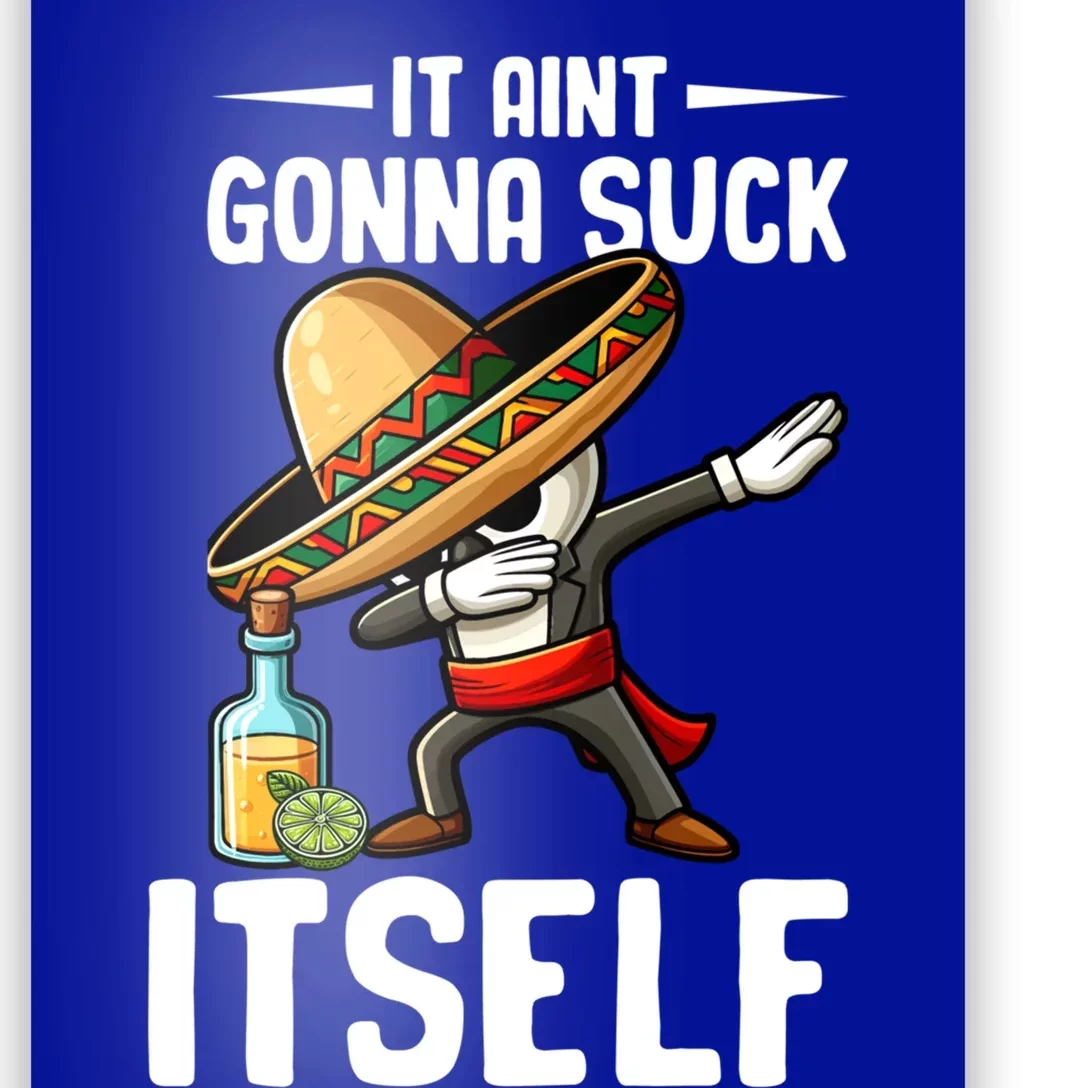 Mexico Independence Day Lime Tequila It Aint Gonna Suck Great Gift Poster