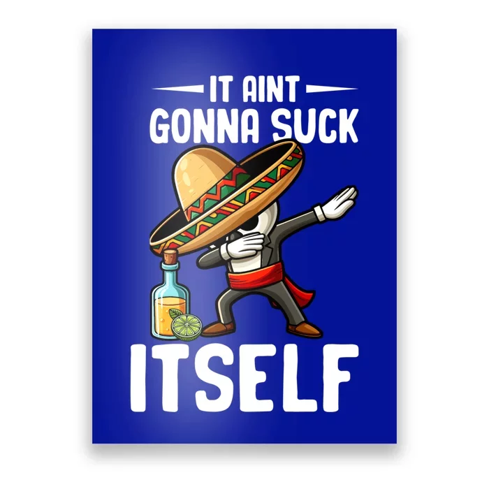 Mexico Independence Day Lime Tequila It Aint Gonna Suck Great Gift Poster