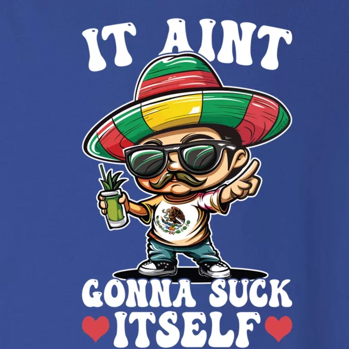 Mexico Independence Day Lime Tequila It Aint Gonna Suck Gift Toddler Long Sleeve Shirt