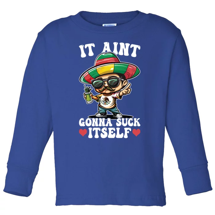 Mexico Independence Day Lime Tequila It Aint Gonna Suck Gift Toddler Long Sleeve Shirt