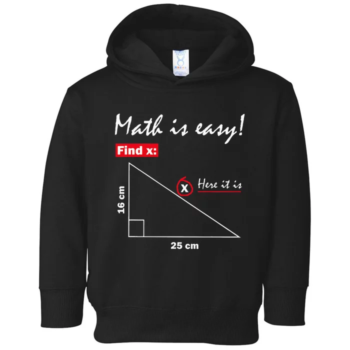 Math Is Easy Find X Here It Is Toddler Hoodie