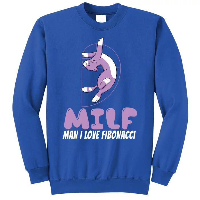 Man I Love Fibonacci Cartoon Cat Feline Funny Gag Math Joke Gift Sweatshirt