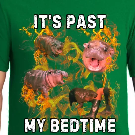 Moodeng ItS Past My Bed Time Funny Moodeng Pajama Set