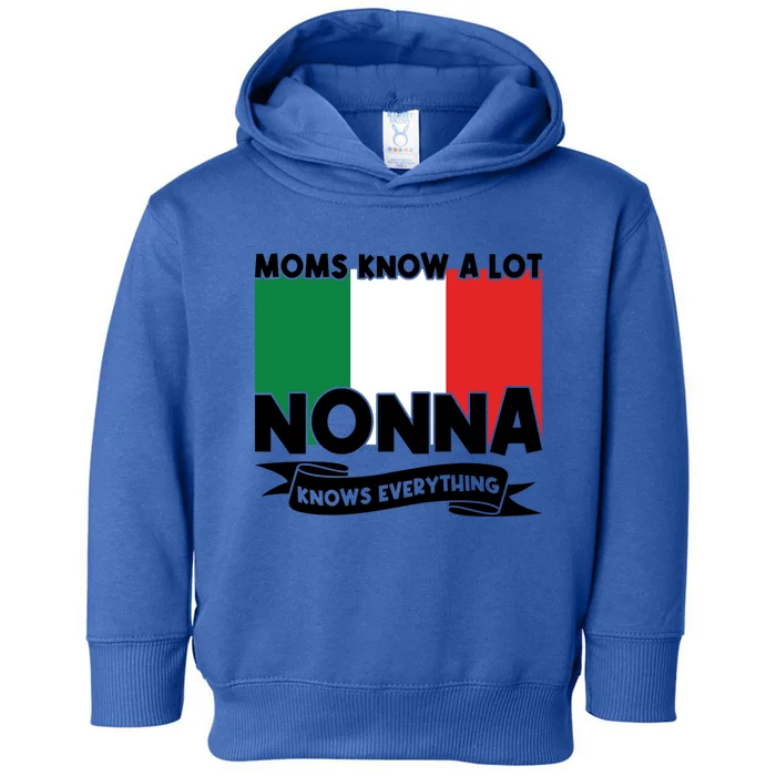 Moms Know A Lot Nonna Knows Everything Nonna Gift Toddler Hoodie