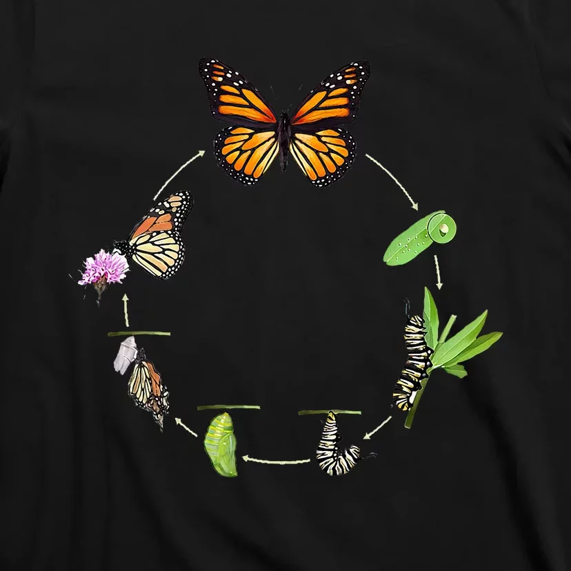 Monarch Life Cycle Butterfly Caterpillar Gift T-Shirt