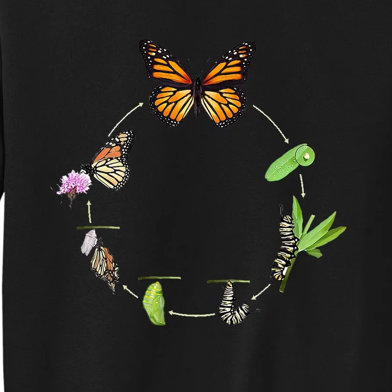 Monarch Life Cycle Butterfly Caterpillar Gift Tall Sweatshirt