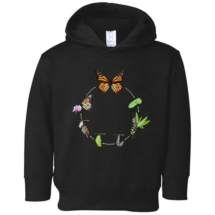 Monarch Life Cycle Butterfly Caterpillar Gift Toddler Hoodie