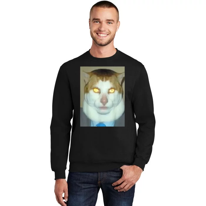 Monday Left Me Broken Cat Tall Sweatshirt