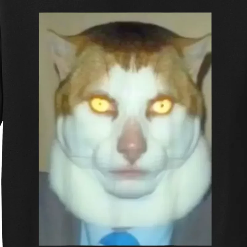 Monday Left Me Broken Cat Tall Sweatshirt