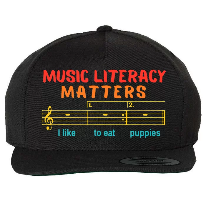 Music Literacy Matters I Like To Eat Puppies Funny Wool Snapback Cap