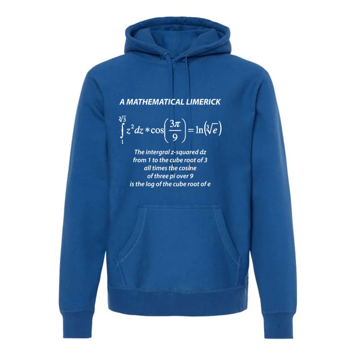 Mathematical Limerick Math Geek Nerd Gift Meaningful Gift Premium Hoodie