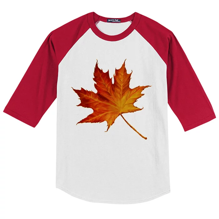 Maple Leaf Nature Kids Colorblock Raglan Jersey