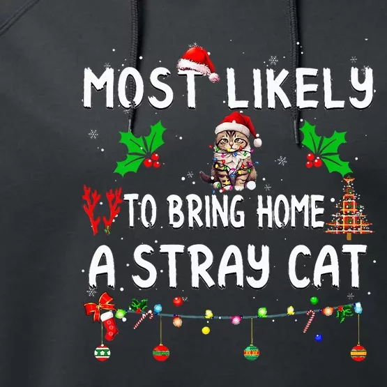 Most Likely To Bring Home Stray Cat Family Matching Performance Fleece Hoodie