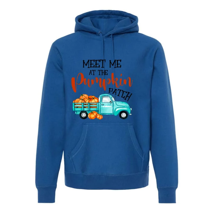 Meet Me At The Pumpkin Patch Funny Halloween Custome Funny Gift Premium Hoodie