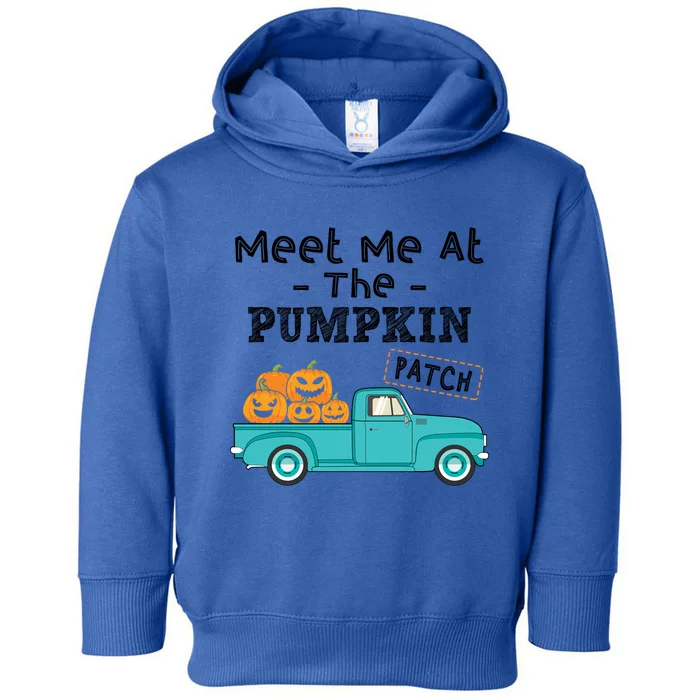 Meet Me At The Pumpkin Patch Funny Halloween Costume Gift Toddler Hoodie