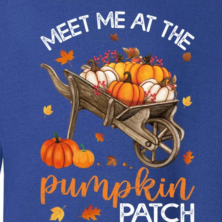 Meet Me At The Pumpkin Patch Gift Toddler Sweatshirt