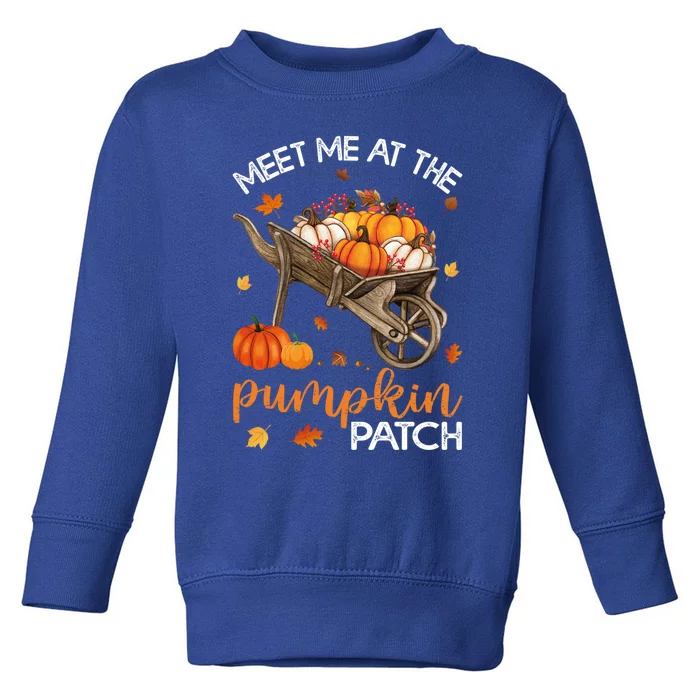 Meet Me At The Pumpkin Patch Gift Toddler Sweatshirt