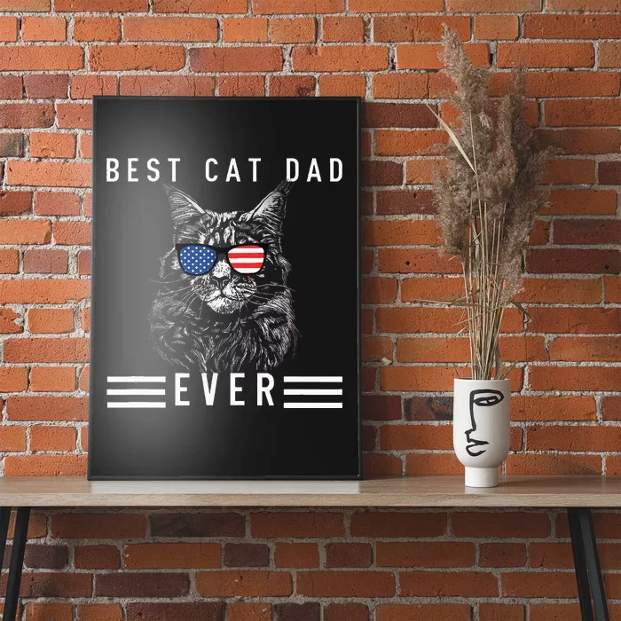 Meow Maine Coon Cat Best Cat Dad Ever Poster