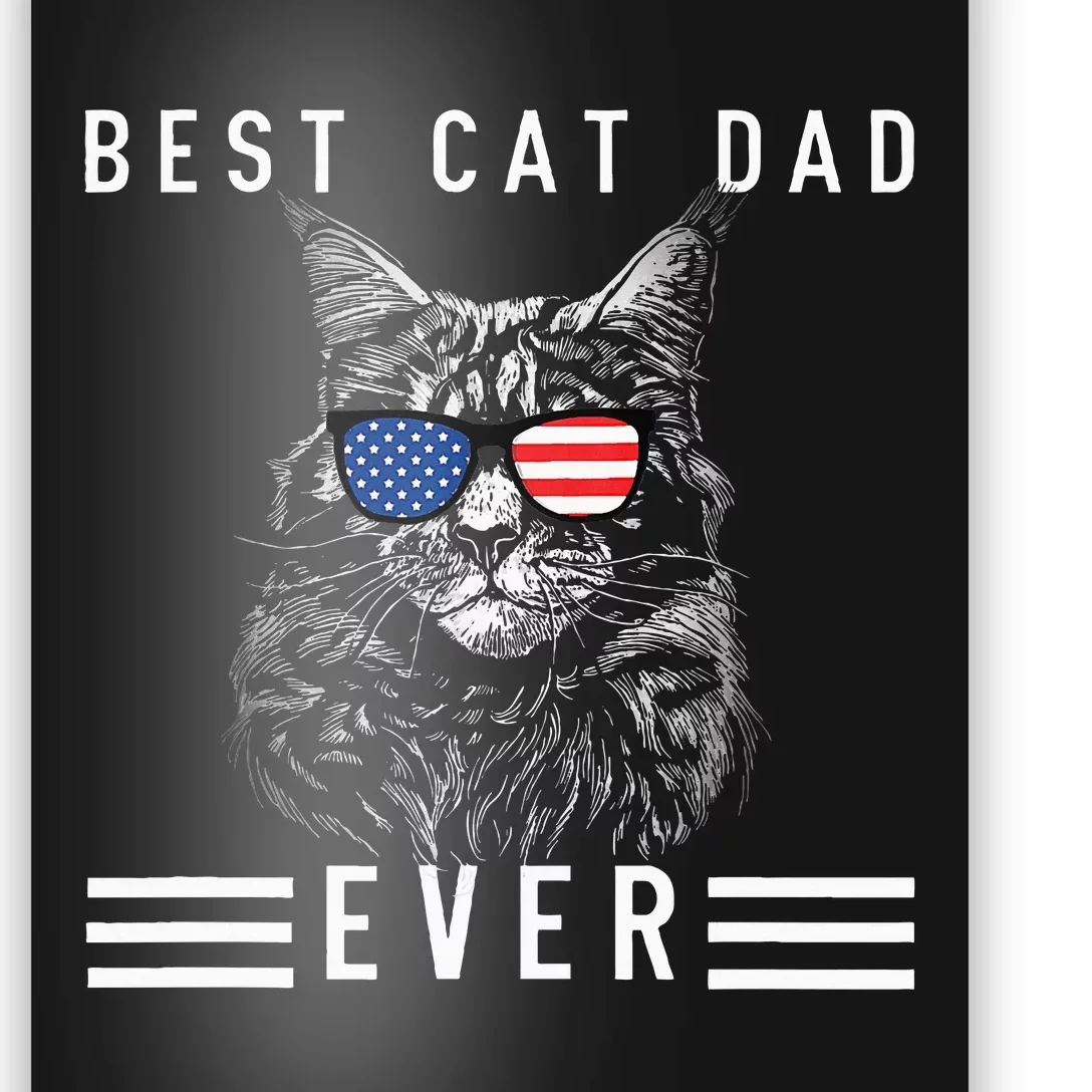 Meow Maine Coon Cat Best Cat Dad Ever Poster