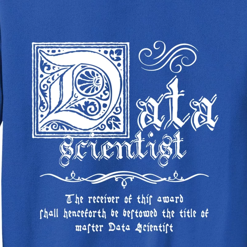 Medieval Master Data Scientist Gift Sweatshirt