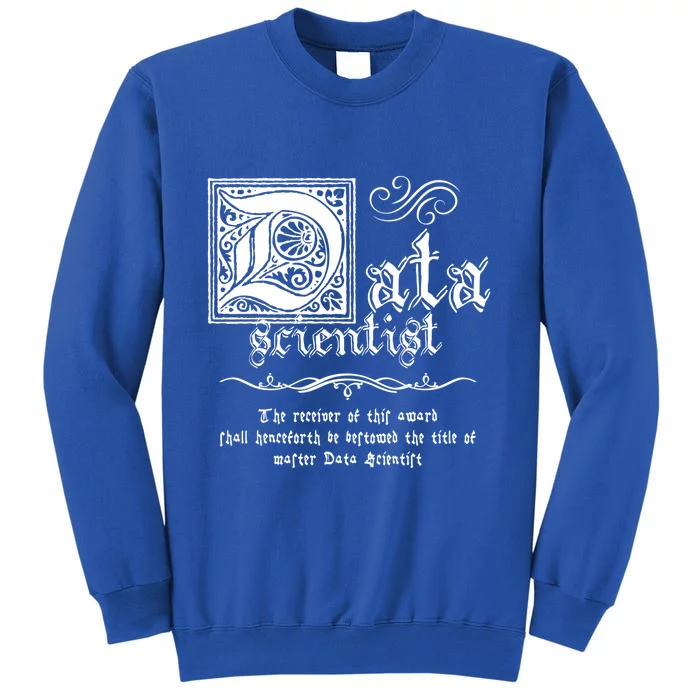 Medieval Master Data Scientist Gift Sweatshirt