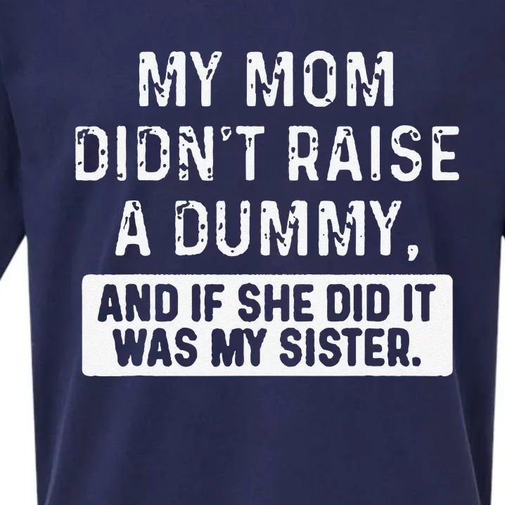 My Mom DidnT Raise A Dummy And If She Did It Was My Sister Sueded Cloud Jersey T-Shirt